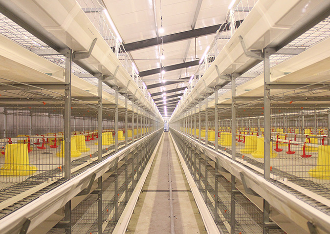 Jaula para patos de 2 metros