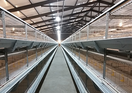 Jaula de tipo de paso de aire EI-LYF8040