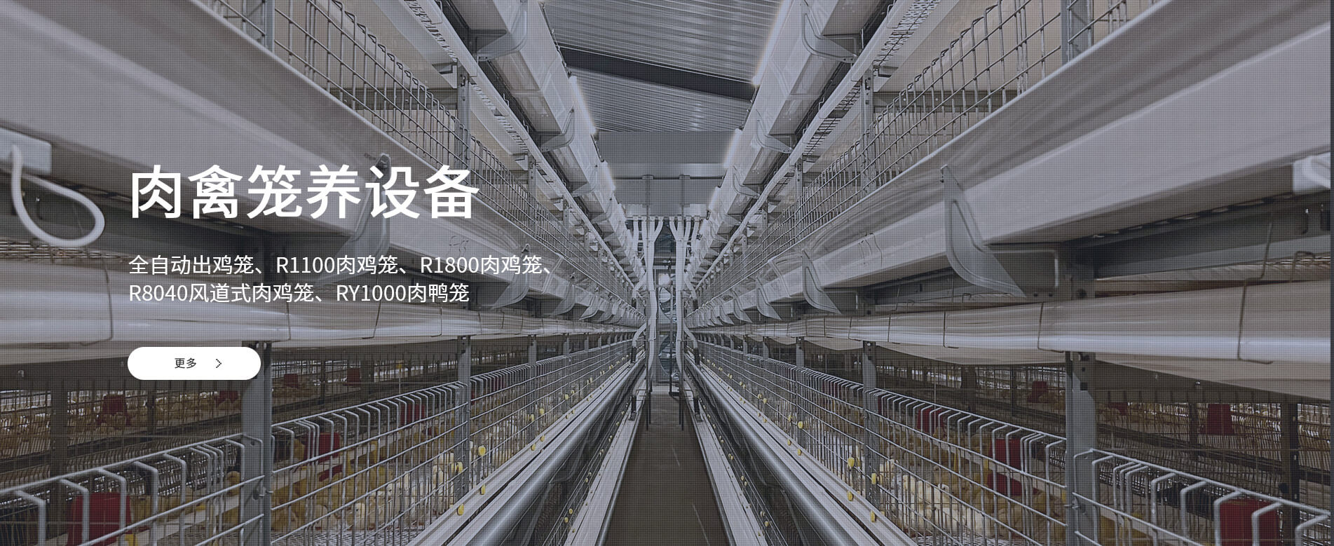 青岛兴仪电子设备有限责任公司