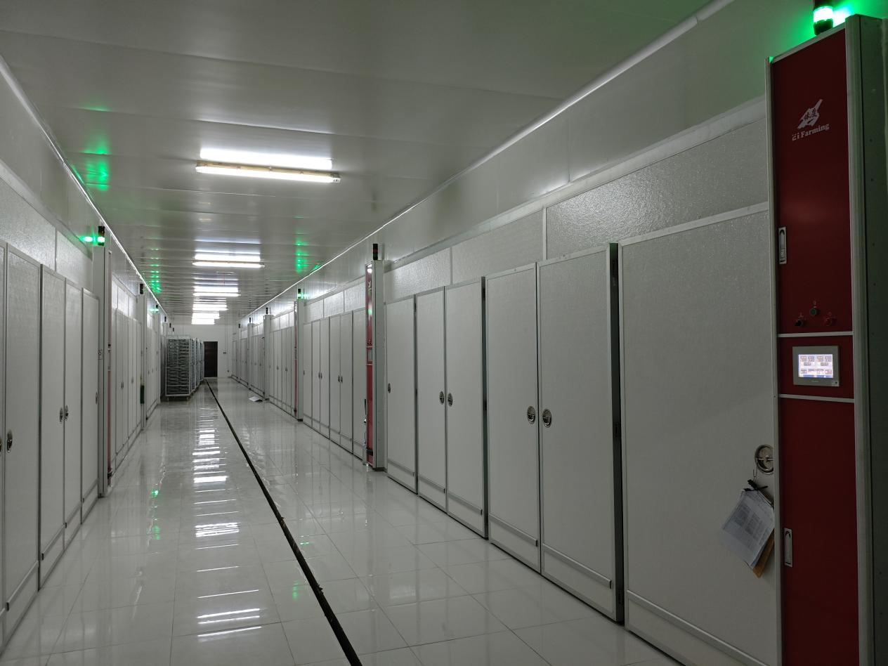 Successfully Delivered a Large Hatchery Project in Indonesia, Reshined in the Belt and Road Countries