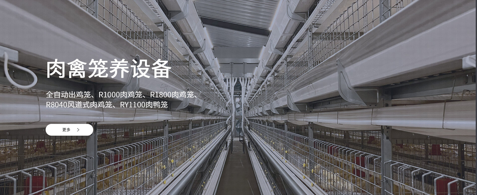 青岛兴仪电子设备有限责任公司