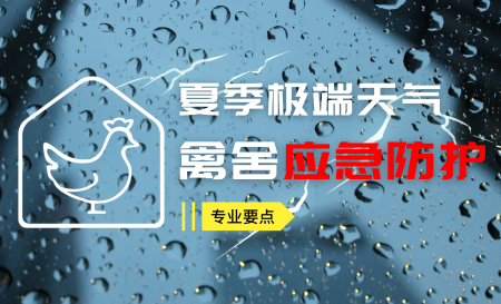 夏季极端天气下禽舍应急防护专业要点