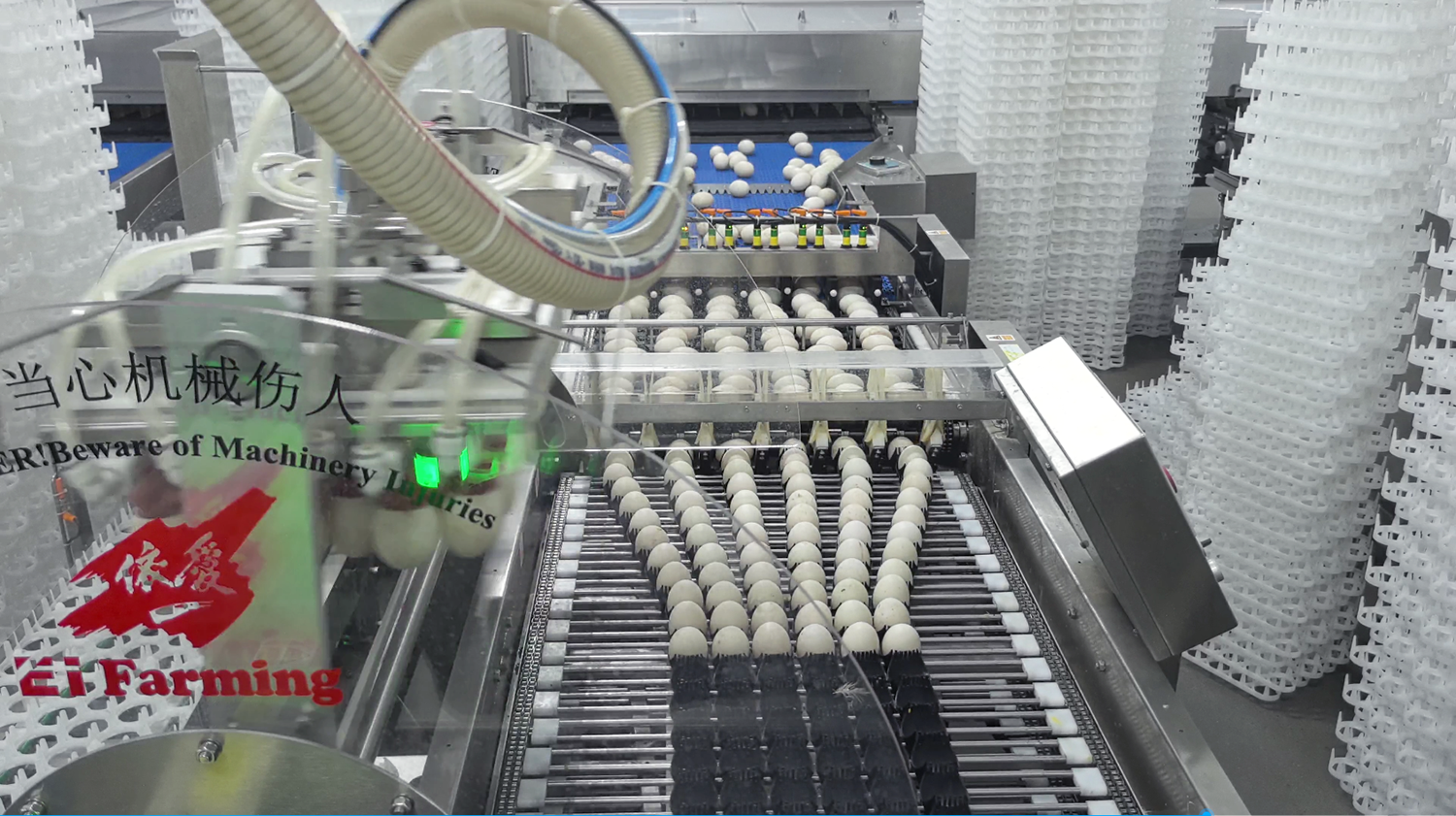 种蛋处理系统（孵鸭）