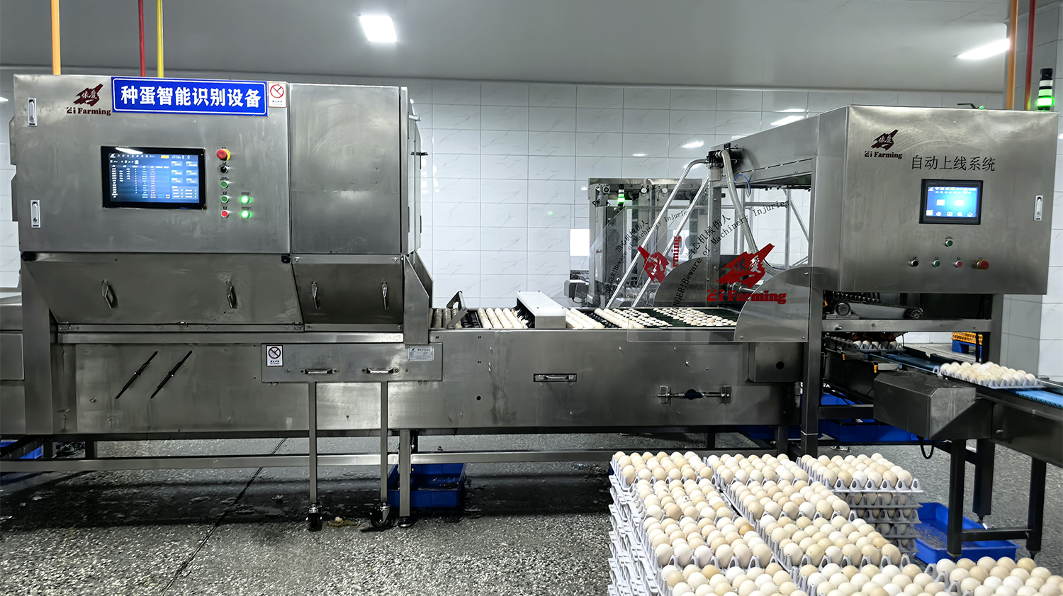 种蛋处理系统（孵鸭）