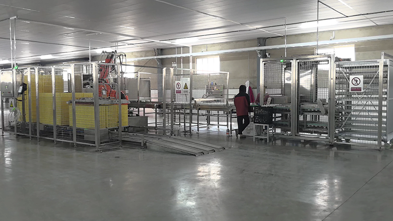 落盘系统（鸭）